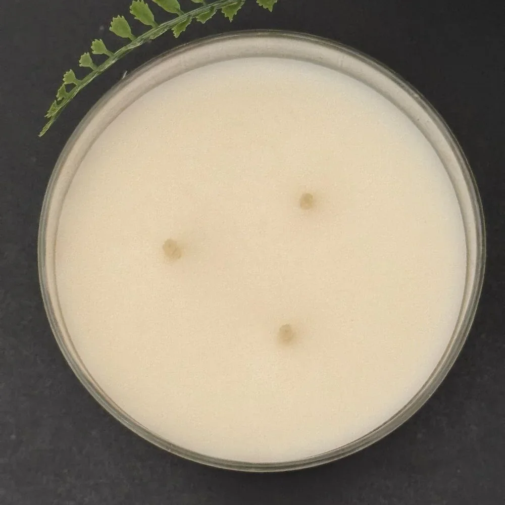 BBW Fresh Amalfi Lemon White Barn Bath & Body Works 3 Wick Candle - Picture 7 of 10